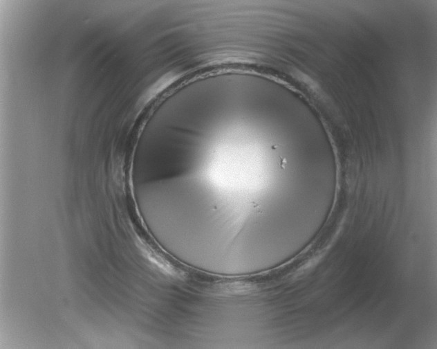 X0000081601113200701291354