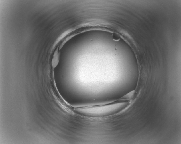 X0000081601114200701291354