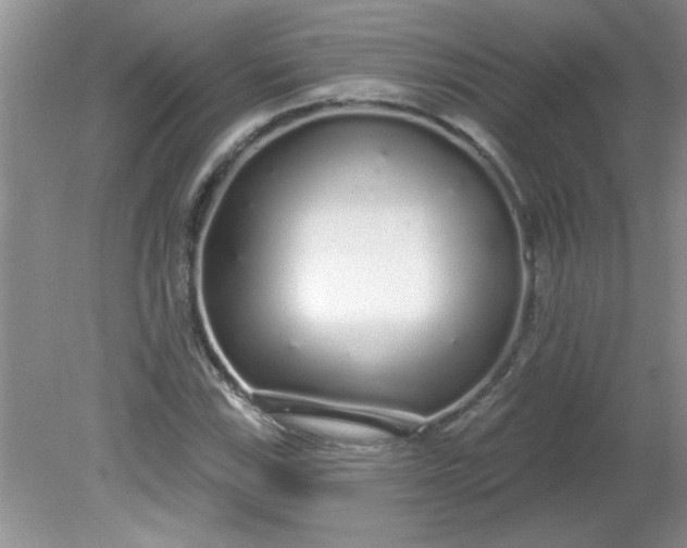 X0000081601115200701291354