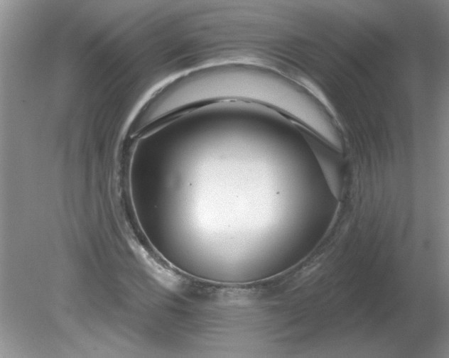 X0000081601116200701291354