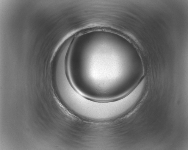 X0000081601118200701291354