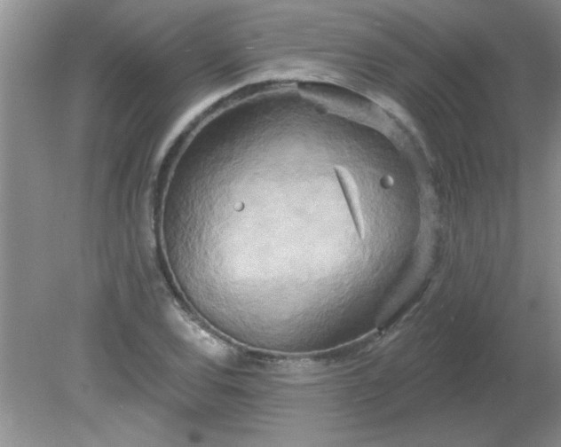 X0000081601120200701291354