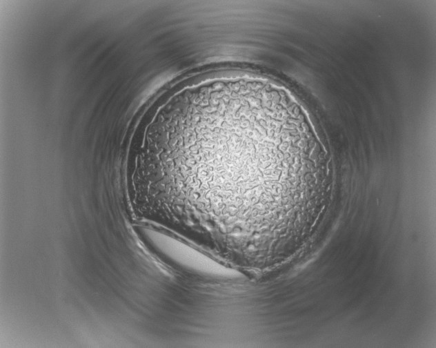 X0000081601121200701291354