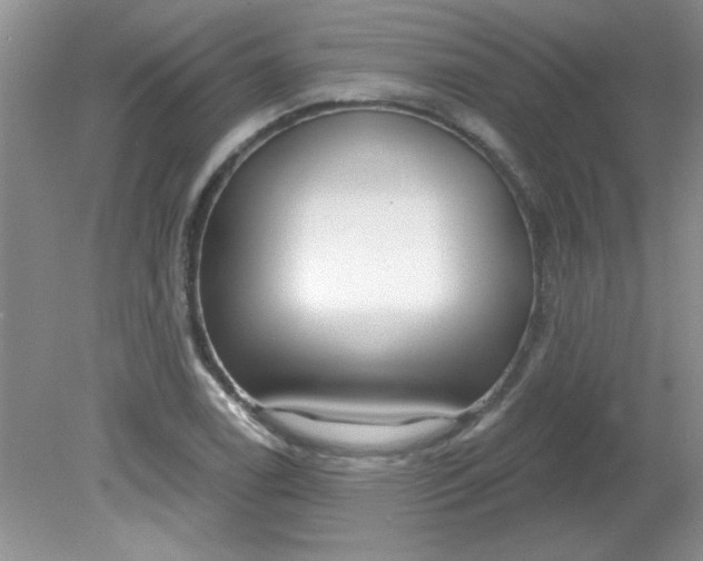 X0000081601122200701291354