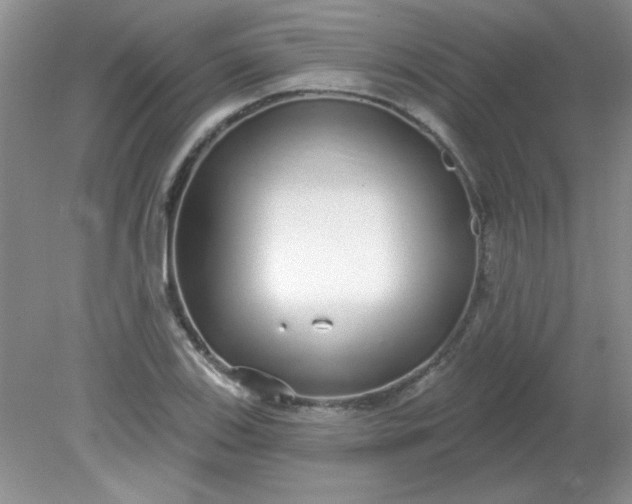 X0000081601123200701291354