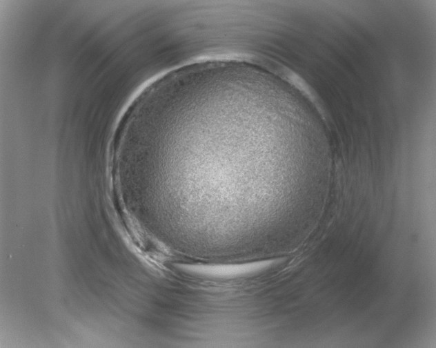 X0000081601124200701291354