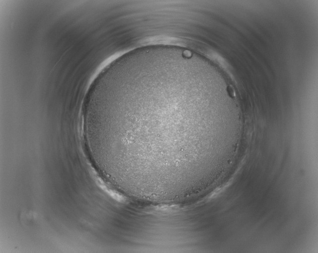 X0000081601125200701291354