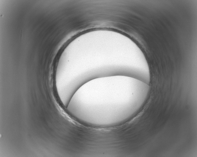 X0000081601126200701291354