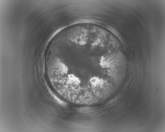 X0000081601127200701291354