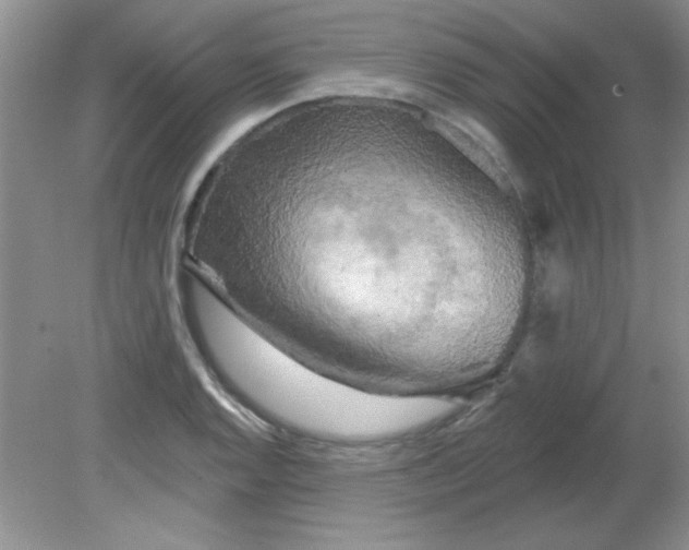 X0000081601128200701291354