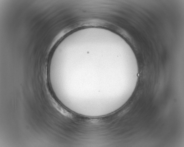 X0000081601130200701291354