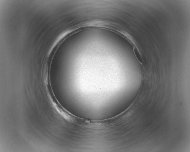 X0000081601131200701291354