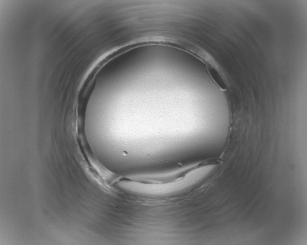 X0000081601132200701291354