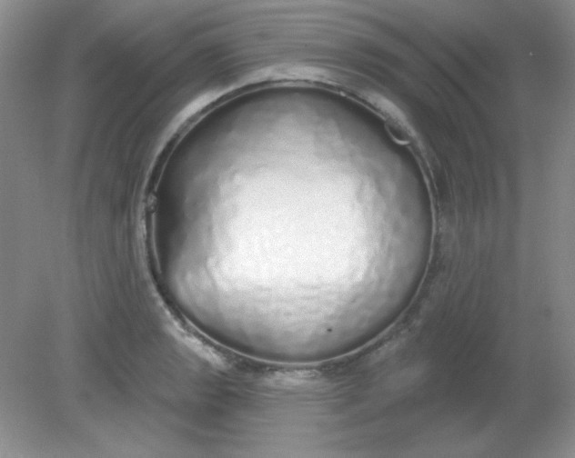 X0000081601133200701291354