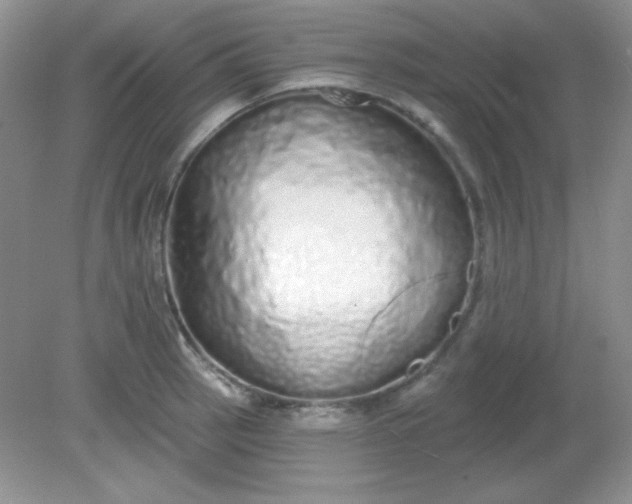 X0000081601137200701291354