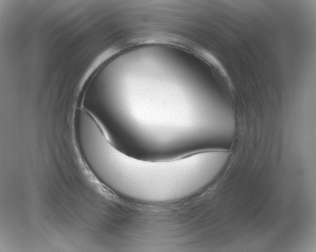 X0000081601138200701291354