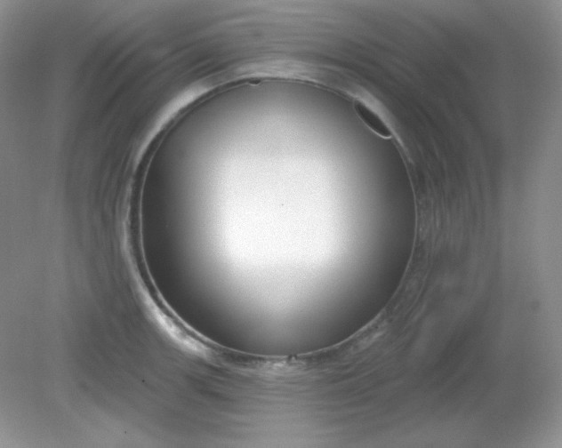 X0000081601139200701291354