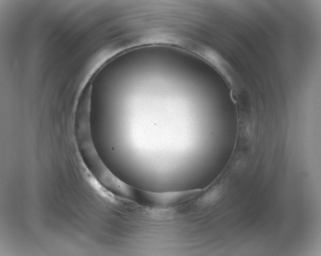 X0000081601140200701291354