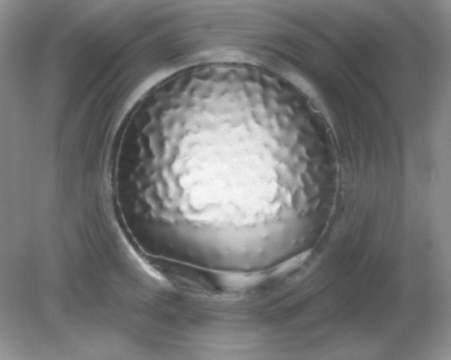 X0000081601141200701291354