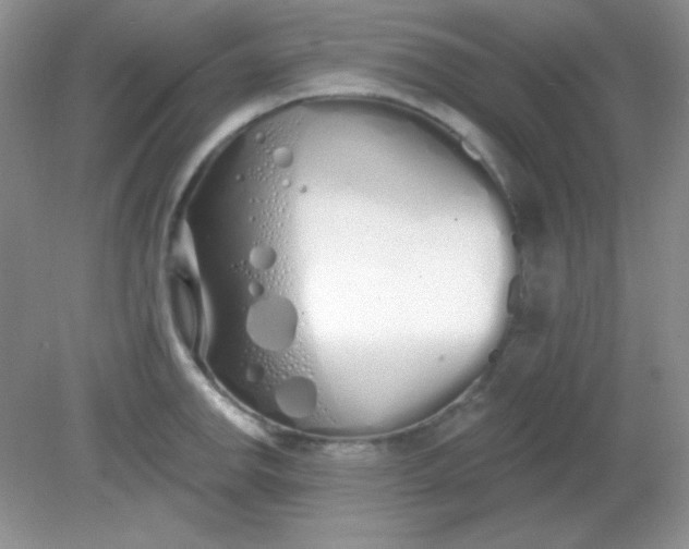 X0000081601142200701291354