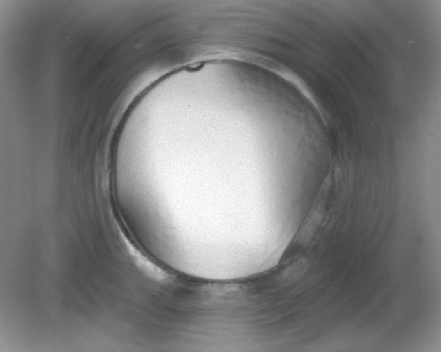 X0000081601143200701291354