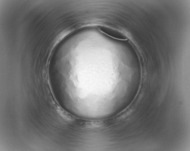 X0000081601145200701291354