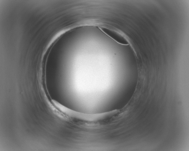 X0000081601147200701291355