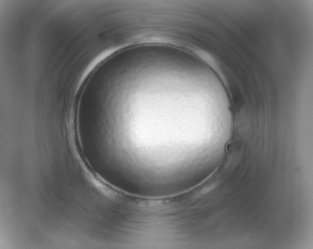 X0000081601149200701291355