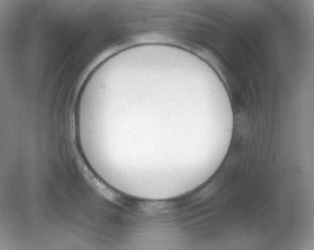 X0000081601150200701291355