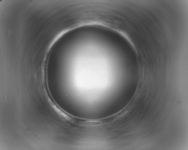 X0000081601151200701291355