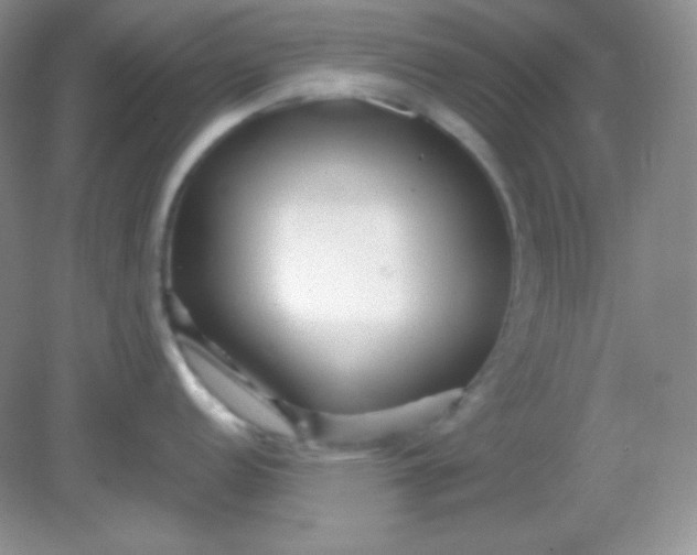 X0000081601152200701291355