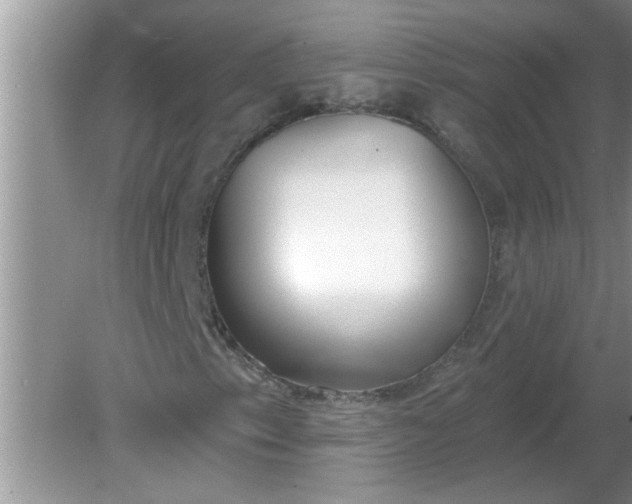 X0000081601153200701291354