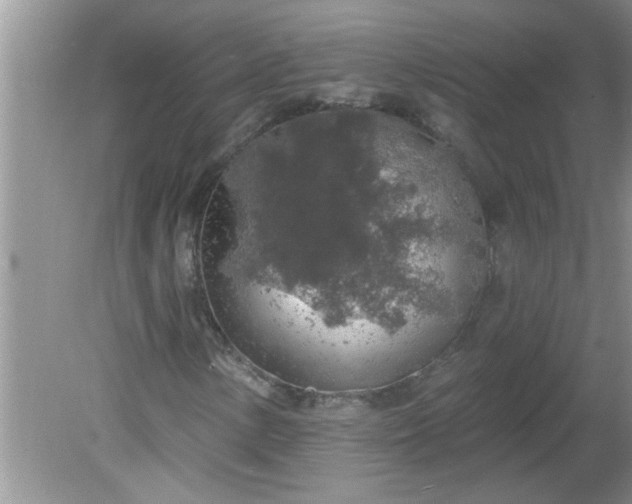 X0000081601154200701291354