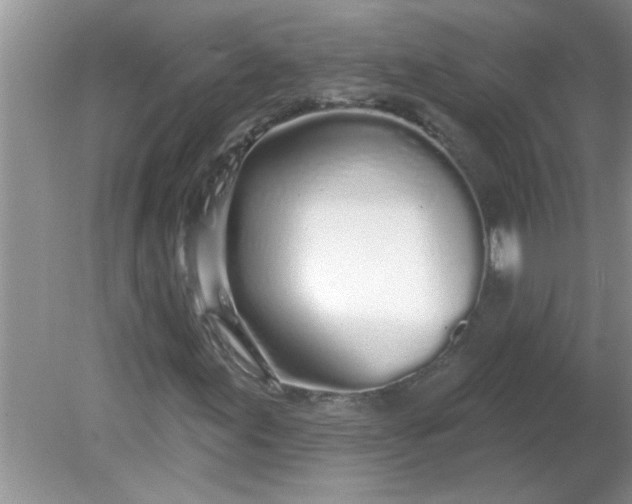 X0000081601155200701291354