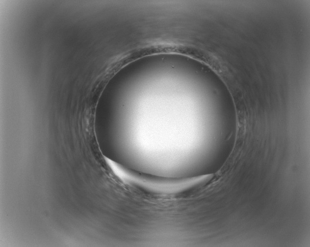 X0000081601157200701291354