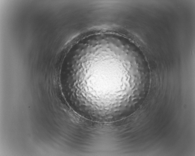 X0000081601158200701291354