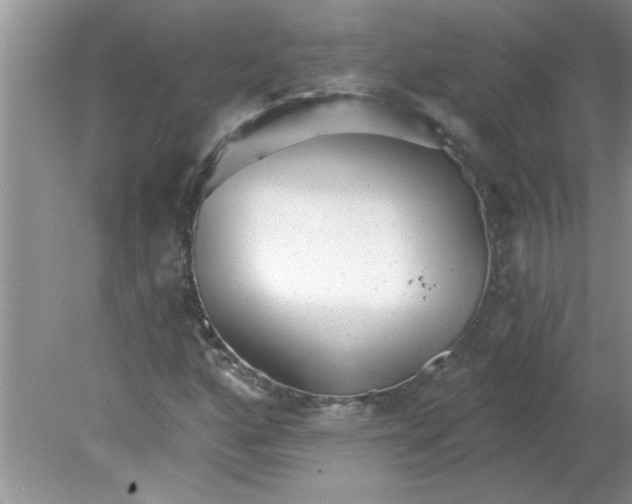 X0000081601160200701291354