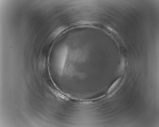 X0000081601161200701291354