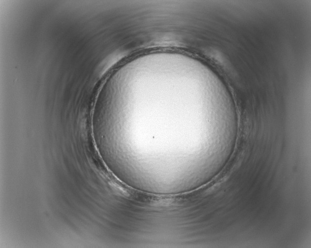 X0000081601162200701291354