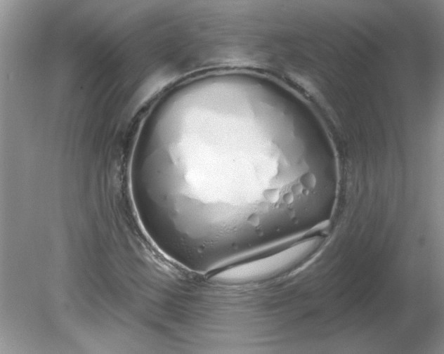 X0000081601163200701291354