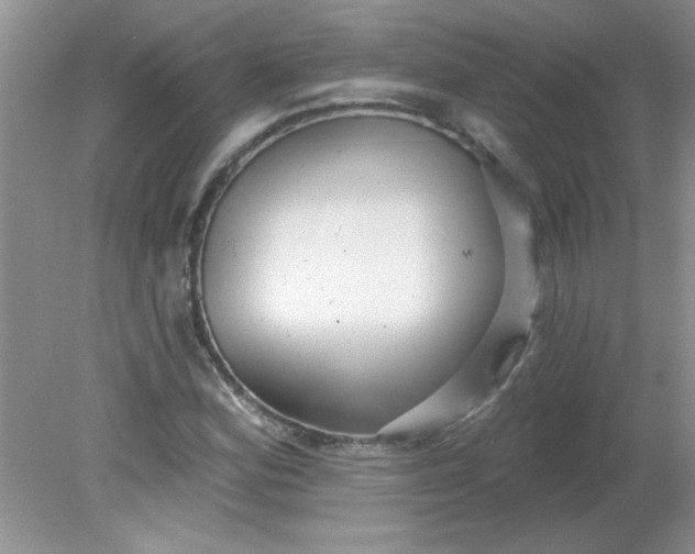 X0000081601164200701291354