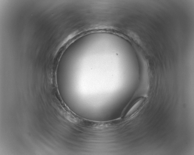 X0000081601165200701291354