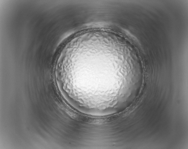 X0000081601166200701291354