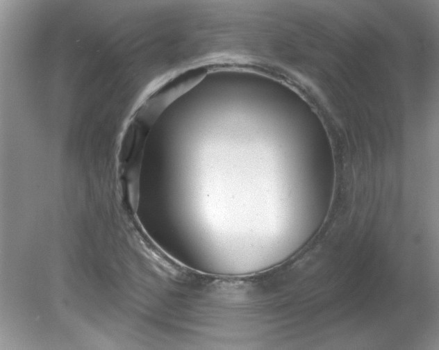 X0000081601168200701291354