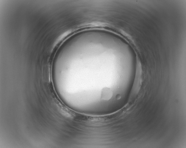 X0000081601171200701291353