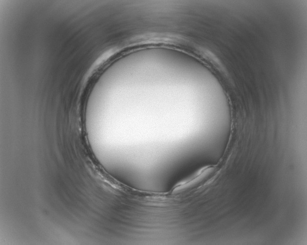 X0000081601172200701291353