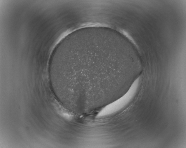 X0000081601173200701291353