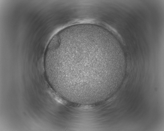 X0000081601174200701291353