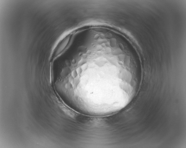 X0000081601175200701291353