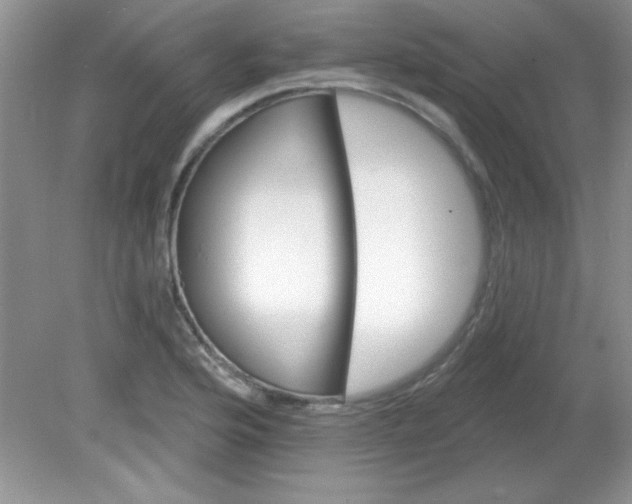 X0000081601176200701291353